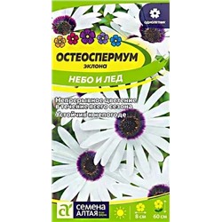 Семена Остеоспермум Небо и Лед, арт.: 13703