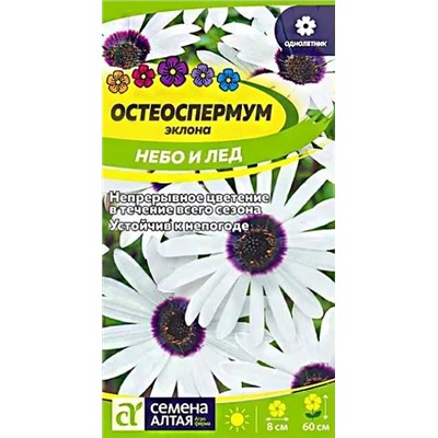 Семена Остеоспермум Небо и Лед, арт.: 13703
