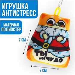 Брелок антистресс «Ты моё чудо»