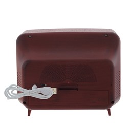 GAEM Изделие декоративное "Телевизор" (подсвет,вьюга,музыка, LR14х3 н/п +USB 100 см), L2, L21 W12 H17 см