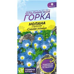 Семена Нолана странная Белая птица, арт.: 16207