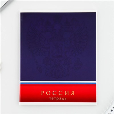 Тетрадь в клетку, 48 л., А5, на скрепке, блок №1 «Россия» МИКС