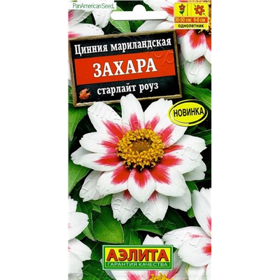 1689 Цинния Захара старлайт роуз 5шт