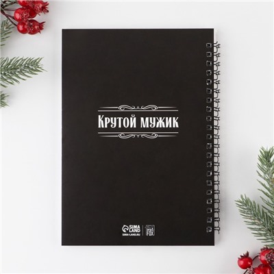 Ежедневник А5, 60 листов, недатированный, в подарочной коробке «Новый год: Хозяину жизни»