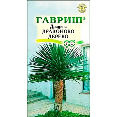 Семена Драцена Драконово дерево, арт.: 4698