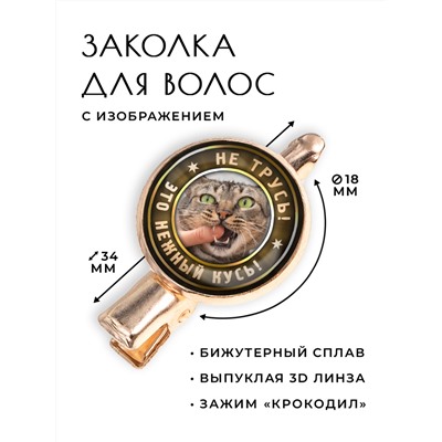 HZF-0360 Заколка Нежный кусь