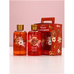 Подарочный набор новогодний женский «Чудес и подарков»: гель для душа и пена для ванны, 2×300 мл, Чистое счастье