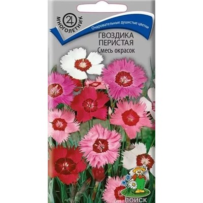 Семена Гвоздика Смесь окрасок перистая, арт.: 12271
