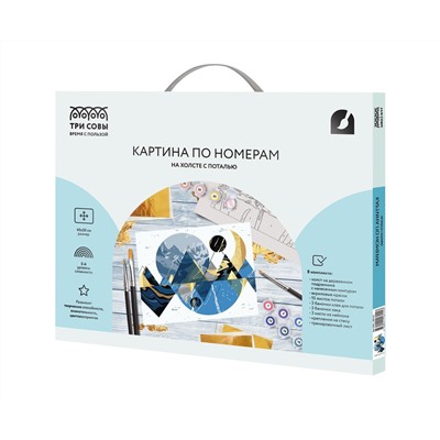 Картина по номерам на холсте ТРИ СОВЫ "Абстракция", 40*50, с поталью, акриловыми красками и кистями