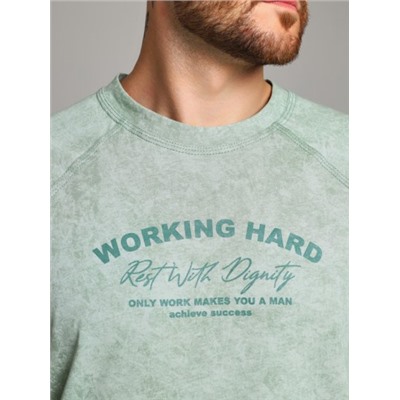 Футболка мужская, Viotex, Сидней-5 оптом