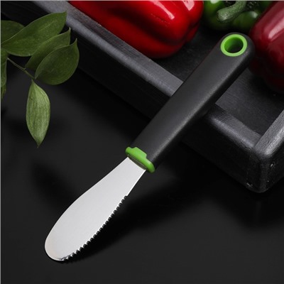 Нож для масла Доляна Lime, 20×3 см, нержавеющая сталь, чёрно-зелёный