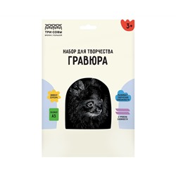 Гравюра с эффектом серебра ТРИ СОВЫ "Шпиц", А5