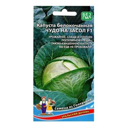Семена Капуста белокочанная «Чудо на Засол», F1, 0.3 г, «Уральский дачник»