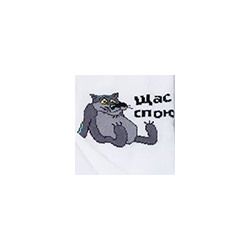Носки мужские 23С2155 493 Брестские Союзмультфильм Conte [6шт] Дроп х/б