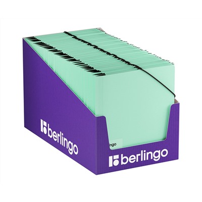 Папка на резинке Berlingo "Instinct" А5, пластик, 600мкм, мятный