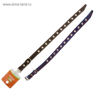 Ошейник кожаный на синтепоне, безразмерный, 37×1.5 см, ОШ 21-31 см, синий