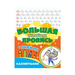 Большая активити пропись. Каллиграфия