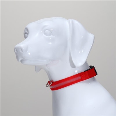 Ошейник с подсветкой размер XL, ОШ 52-60×2.5 см, 3 режима свечения красный