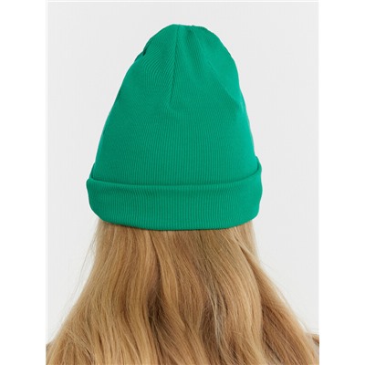 ШАПКА МОЛОДЕЖНАЯ 221001