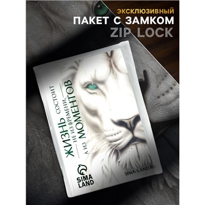 Пакет подарочный «С Новым годом», с бубенцами и ёлочной игрушкой, олень, 18×23×11 см