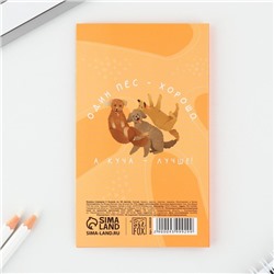 Стикеры «Друг!», 5 блоков, 30 л.