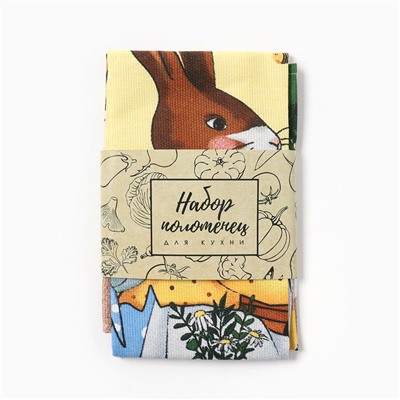 Набор кухонных полотенец Доляна Bee and bunny 2 шт., 28×46 см, рогожка, 100% хлопок, 160 г/м²