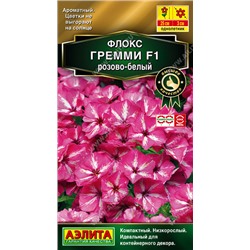 1628 Флокс друммонда Гремми F1 розово-белый 5шт