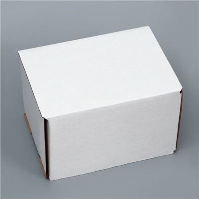 Коробка самосборная, белая, 17×12×10 см