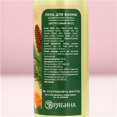 Новогодний подарочный набор косметики «Чудес и подарков»: гель для душа и пена для ванны, 2×100 мл, Чистое счастье