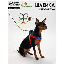 Комплект "Радуга", капрон, поводок 120 х 1,5 см, ОГ 24-34 см, разноцветный