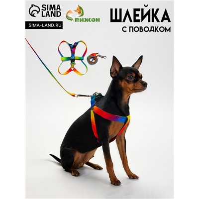 Комплект "Радуга", капрон, поводок 120 х 1,5 см, ОГ 24-34 см, разноцветный
