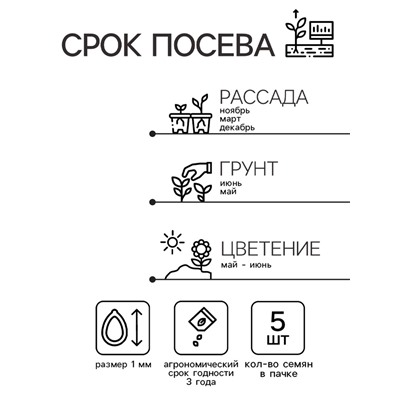 Семена комнатных цветов Герань «Белая», F1, 5 шт., «Престиж семена»