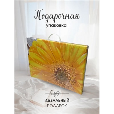 Постельное белье поплин Иваново / Флоранс