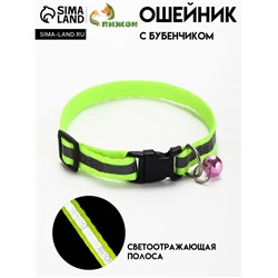 Ошейник "Спорт" со светоотражающей полосой, 31 х 1 см, зелёный