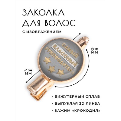 HZF-0442 Заколка Самый классный руководитель