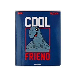 Тетрадь 48 листов в клетку Hatber «ЖДУН», обложка мелованный картон, скруглённые углы, блок офсет 60-65 г/м², МИКС 5 видов