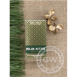 БАД REVITALL HOLAN ACTIVE, 60 КАПСУЛ
