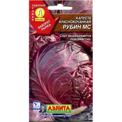 Семена Капуста краснокочанная Рубин МС, арт.: 1740