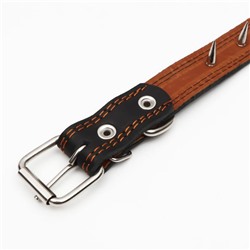 Ошейник кожаный «Строгий шип», 65×3 см, ОШ 40-55 см, чёрный