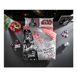 2-сп ЕВРО Лицензированное Постельное Бельё Star Wars Valentines Day - TAC
