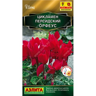 1670 Цикламен персидский Орфеус 3шт