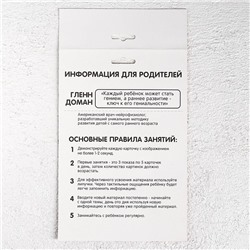 Игра на липучках «Изучаем мир лесных животных», методика Домана