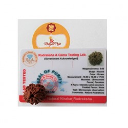 Рудракша сертифицированная (0 мукхи), Faceless Rudraksha (Nirankar), произв. Kalyan Puja