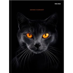 Бизнес-блокнот А5  80л "ЧЁРНАЯ КОШКА - 2" 80-4473 Проф-Пресс