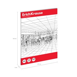 Бумага для черчения А3, 20 листов, блок 200 г/м², ErichKrause, без рамки, в папке