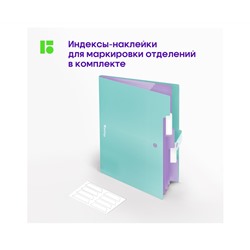 Папка 5 отделений Berlingo "Haze", А4, 600мкм, на кнопке, мятная, софт-тач