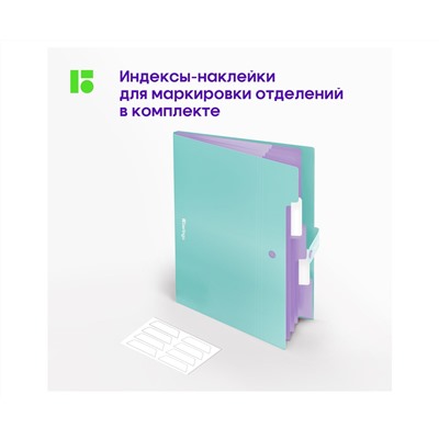 Папка 5 отделений Berlingo "Haze", А4, 600мкм, на кнопке, мятная, софт-тач