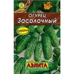 0100 Огурец Засолочный 10шт