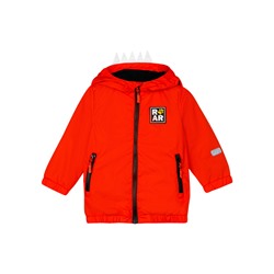 Ветровка для мальчика