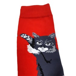 31579 В мире животных | Носки "Котик. Лапки. Цапцарапки", р-р 38-44 (серый/красный)